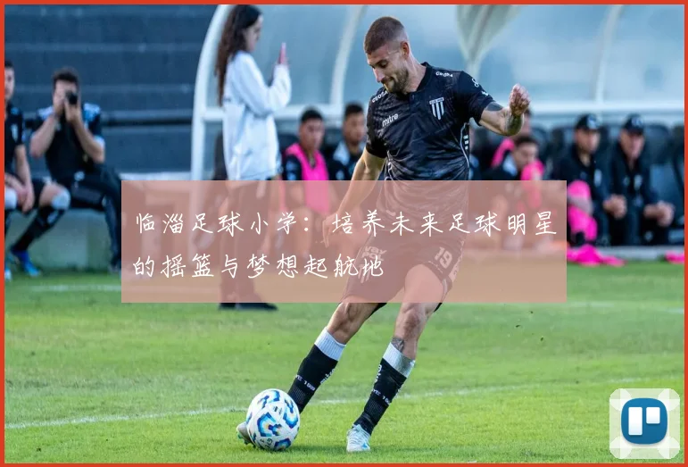临淄足球小学：培养未来足球明星的摇篮与梦想起航地
